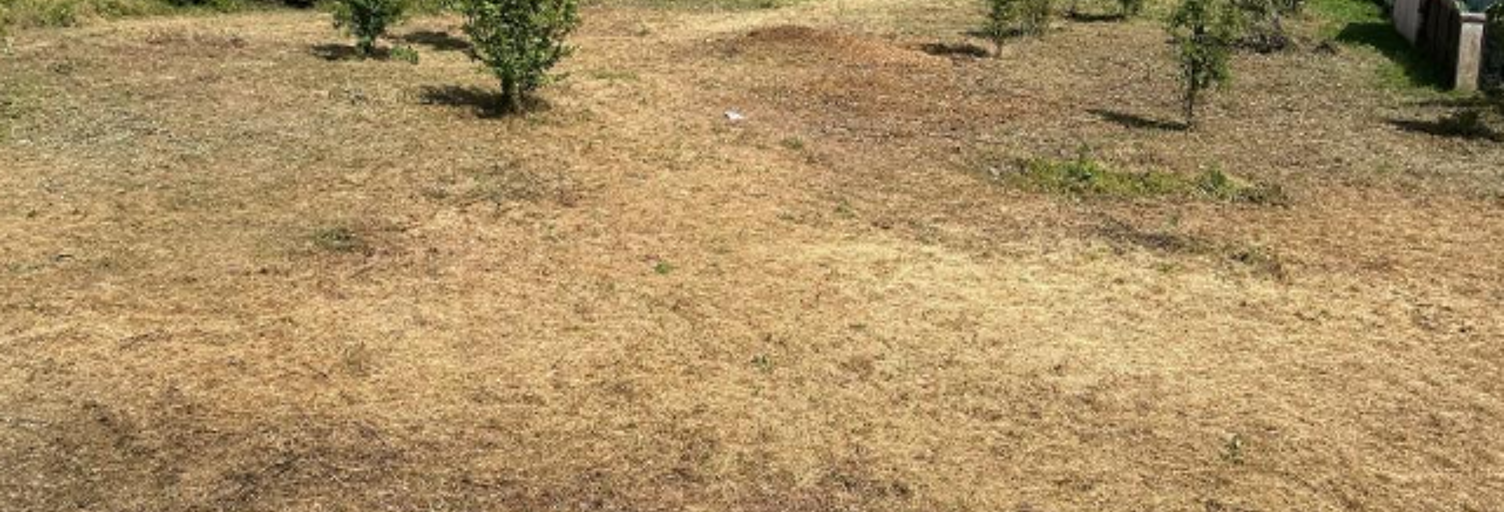 Terrain 1088 m² à construire Tourrette-Levens (06690)