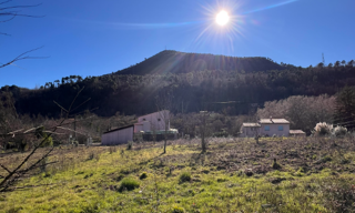 Terrain 1088 m² à construire Tourrette-Levens (06690)