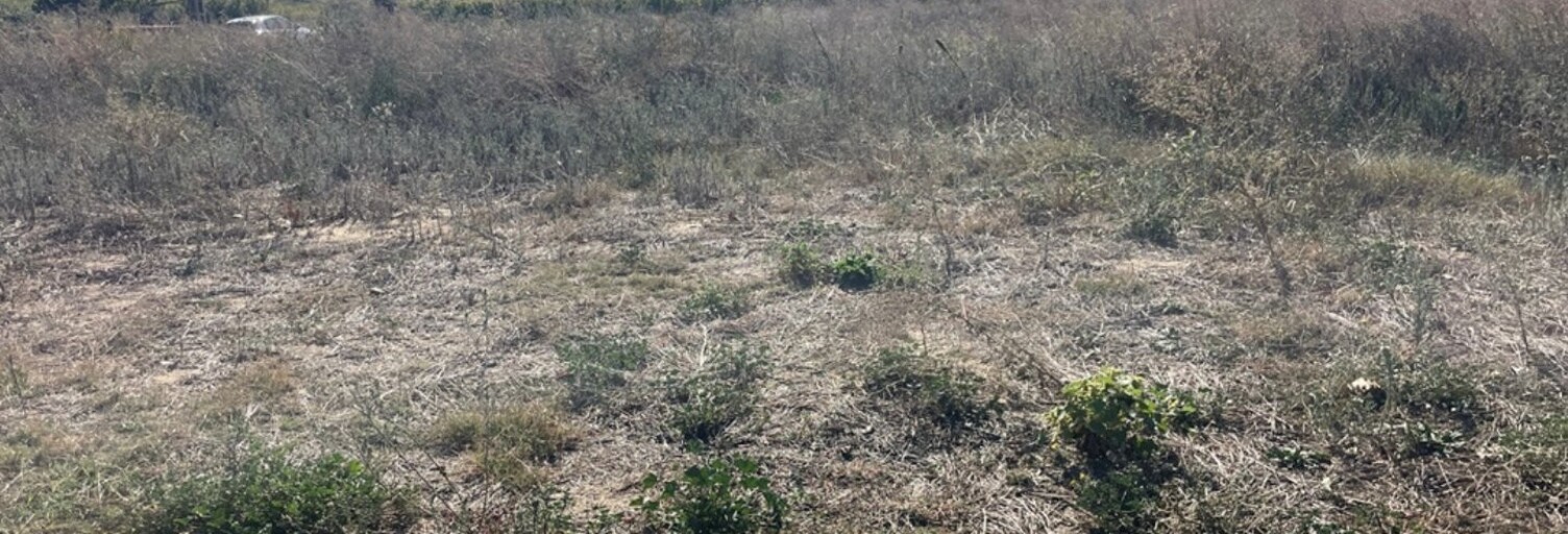 Terrain  492 m² à vendre à Pouzolles (34480)