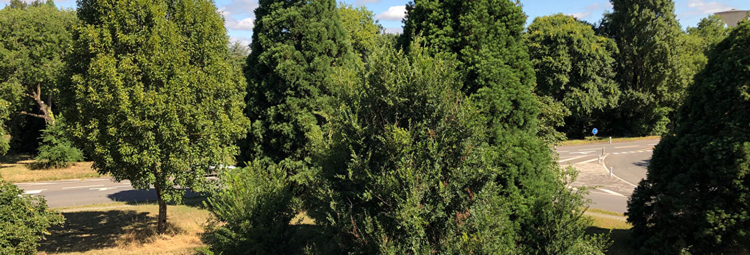 Appartement 3 Pièces 59 m² à vendre à Nantes (44300)