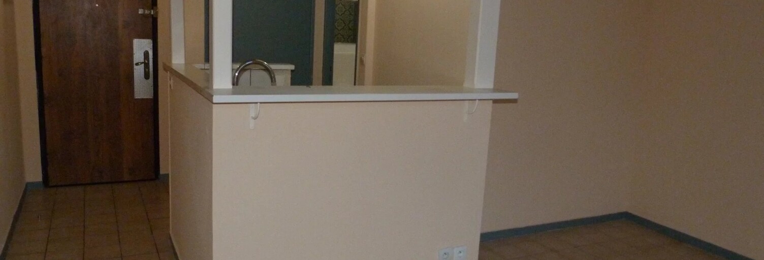 Appartement 1 Pièce 26 m² à vendre à Vierzon (18100)