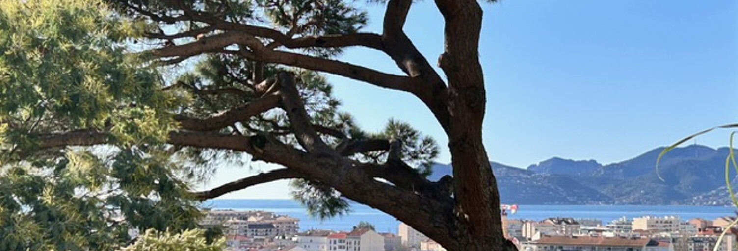 Appartement 3 Pièces 73 m² à louer à Cannes (06150)