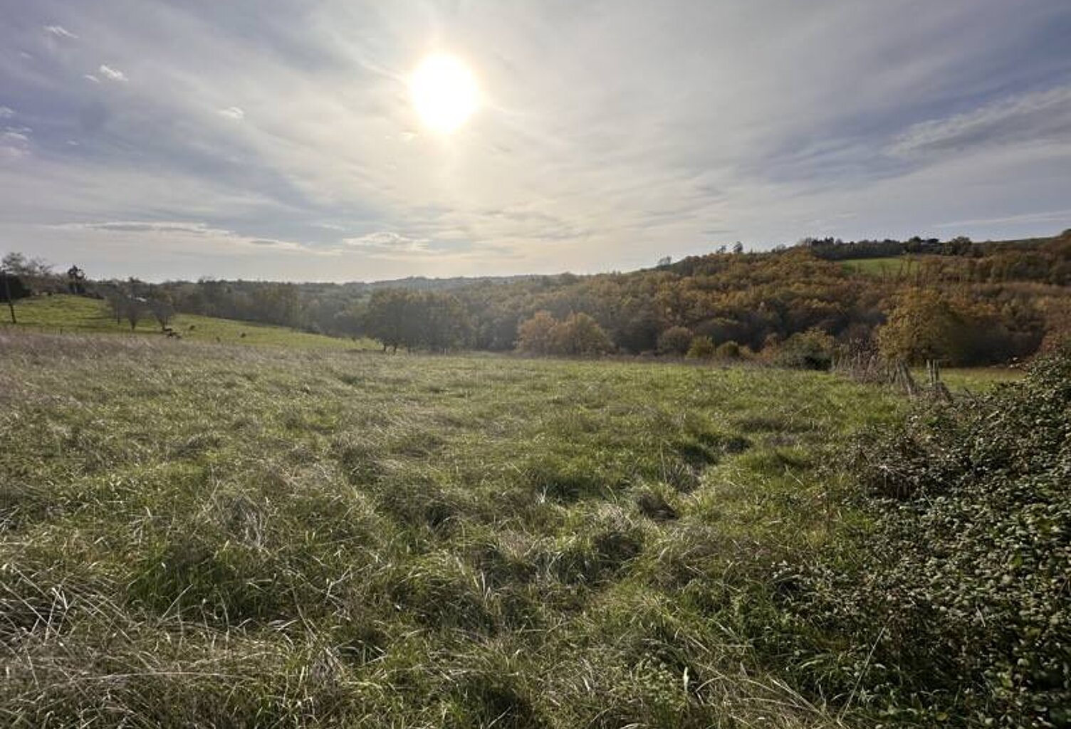 Terrain à bâtir de 0 pièces principales — photo 1
