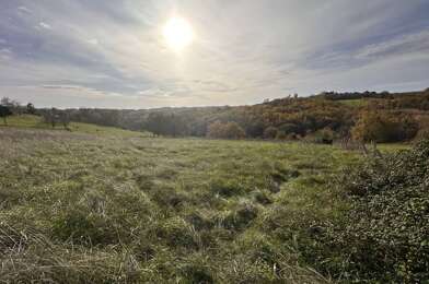 Terrain  35000 €