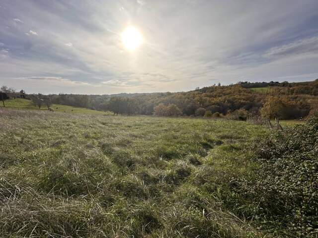Terrain à bâtir de 0 pièces principales — photo du bien