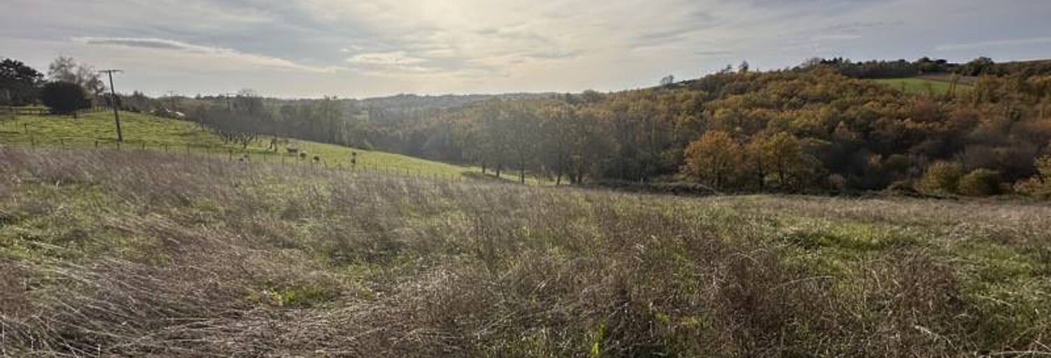 Terrain  5705 m² à vendre à Saint-Aulaire (19130)