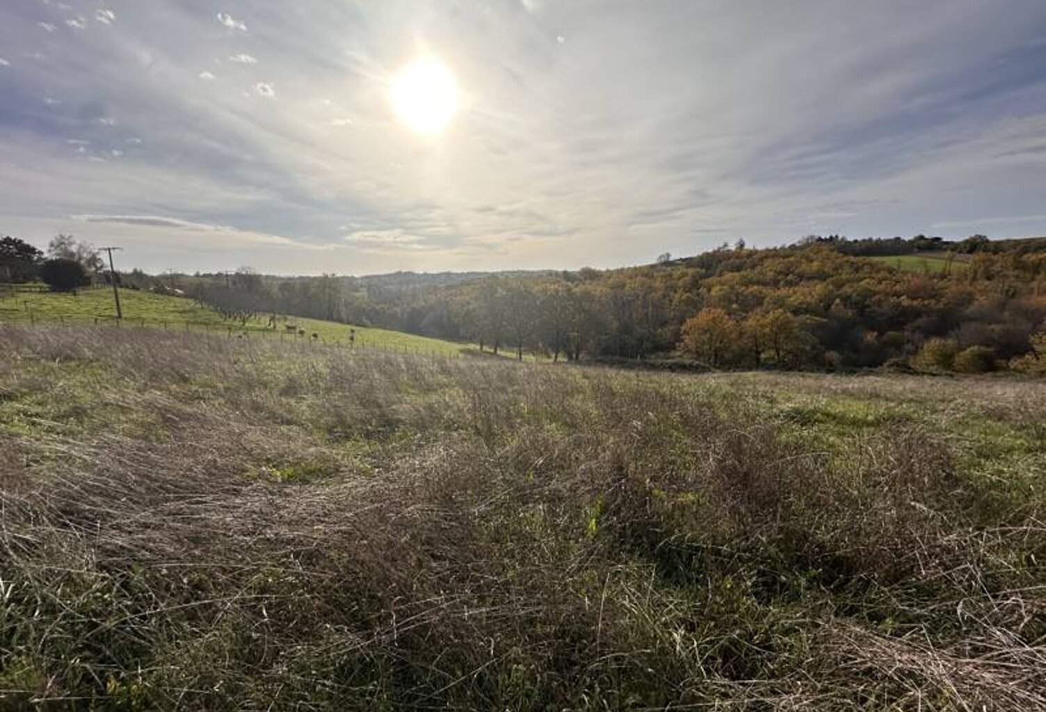 Terrain à bâtir de 0 pièces principales — photo 1