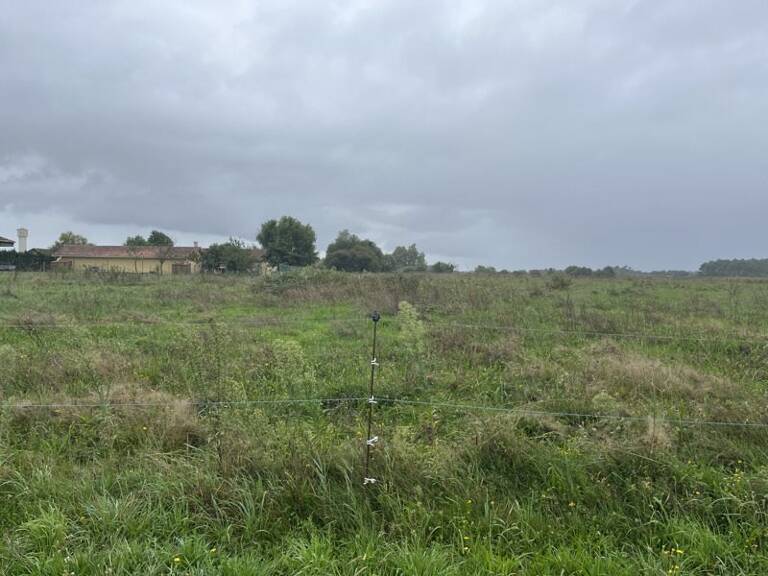 Terrain à construire  1900 m²  — photo 1
