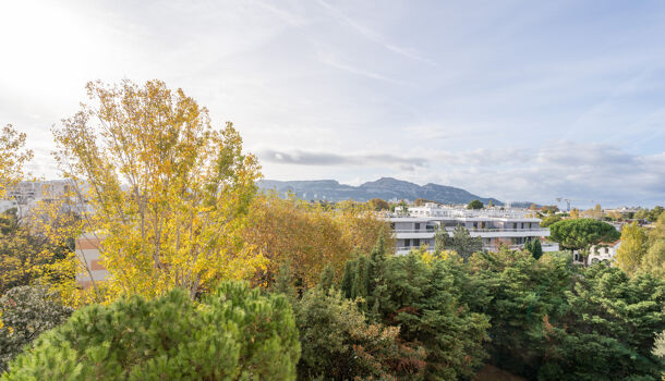 Appartement 5 pièces  à vendre Marseille 8eme 13008