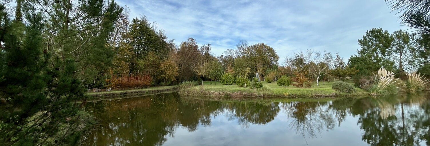 Terrain  9106 m² à vendre à Allonnes (49650)