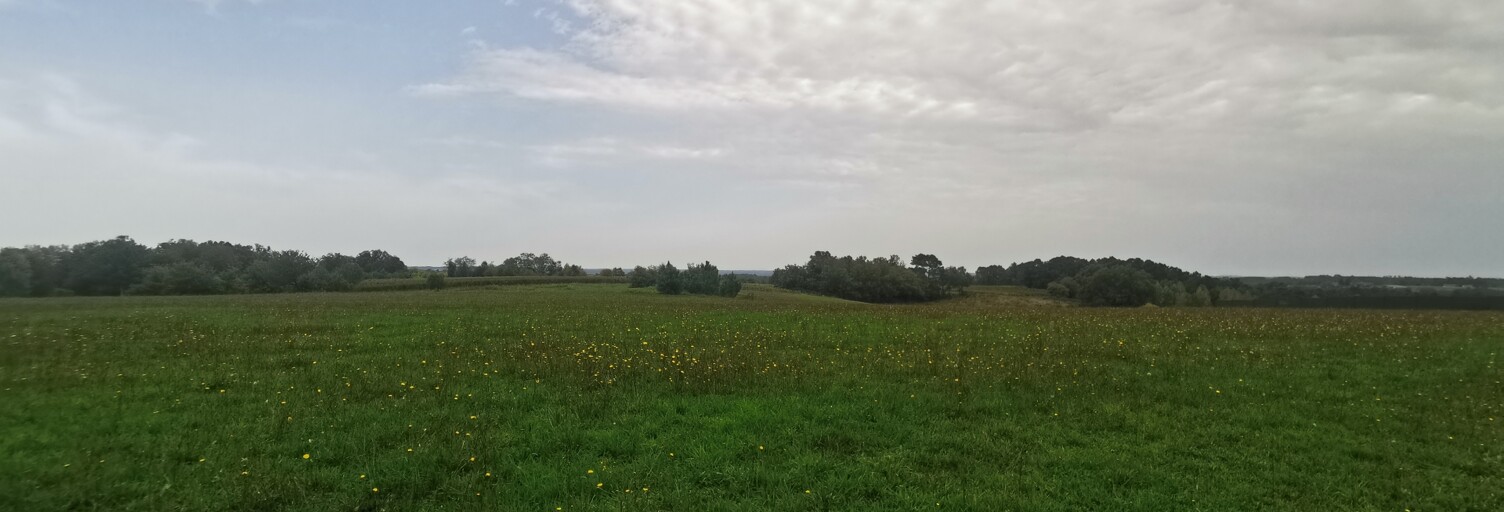 Terrain  912 m² à vendre à Saint-Aigulin (17360)