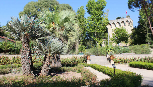 Villa / Maison 3 pièces  à vendre Montpellier 34000