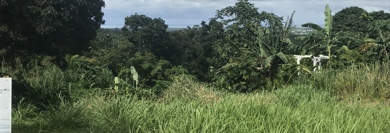 Terrain  1501 m² à vendre à Sainte-Rose (97115)