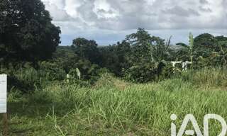 Terrain  1501 m² à vendre à Sainte-Rose (97115)