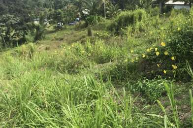 Terrain  195000 €