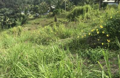 Vente Terrain 1 501 m&sup2; — photo du bien