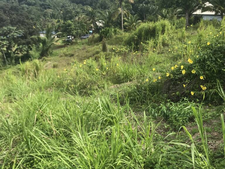 Vente Terrain 1 501 m&sup2; — photo 1