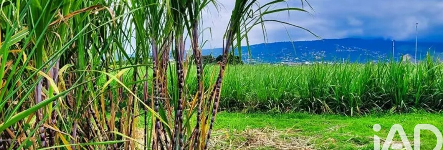 Terrain  11990 m² à vendre à Saint-Paul (97422)