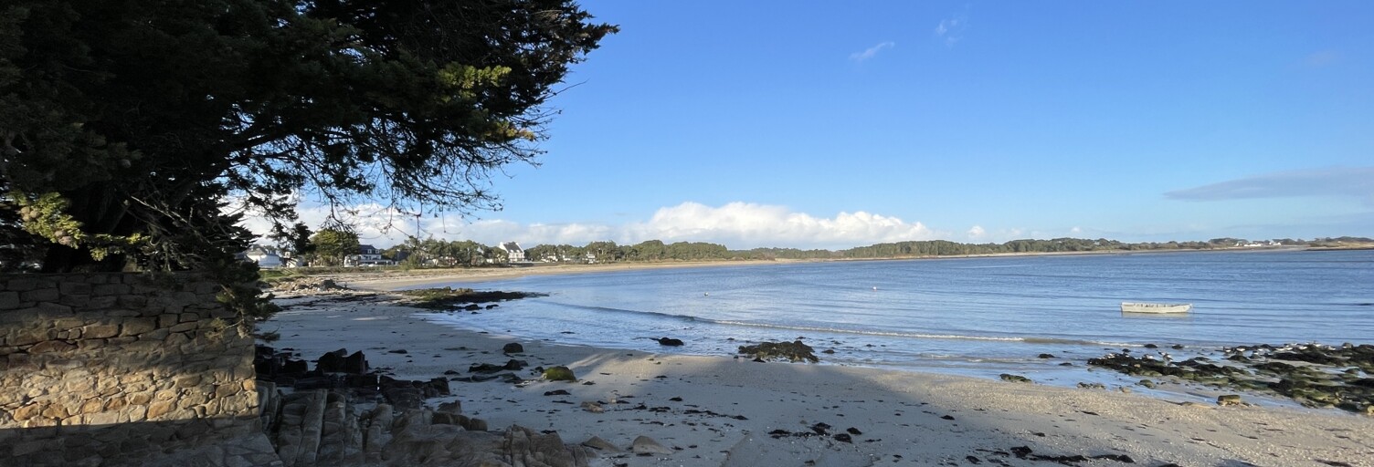 Appartement 2 Pièces 36 m² à vendre à Carnac (56340)