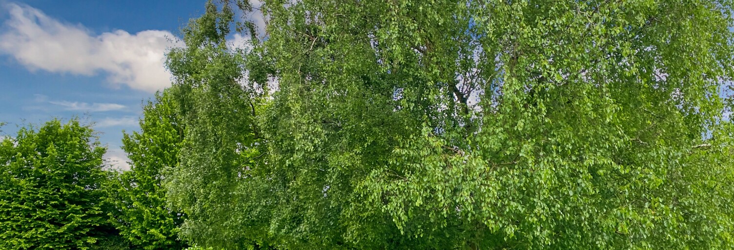 Maison 7 Pièces 124 m² à vendre à Lamballe-Armor (22400)