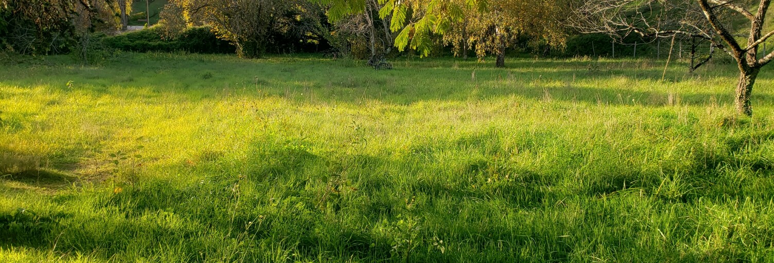 Terrain  2083 m² à vendre à Ruffec (16700)