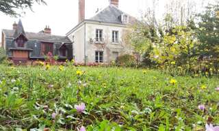 Maison 11 Pièces 256 m² à vendre à Cour-Cheverny (41700)