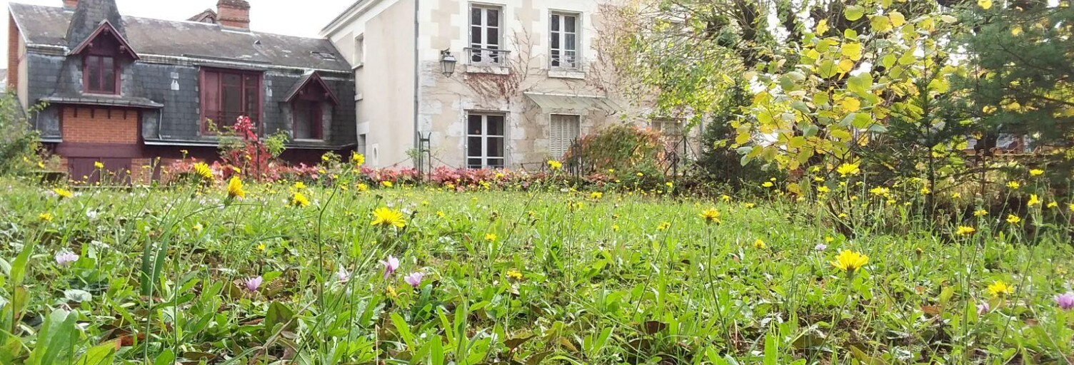 Maison 11 Pièces 256 m² à vendre à Cour-Cheverny (41700)