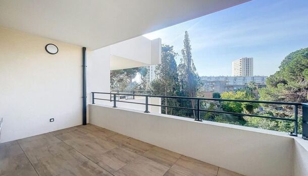 Appartement 3 pièces  à louer Ajaccio 20000