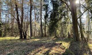 Terrain  14000 m² à vendre à Niederbronn-les-Bains (67110)