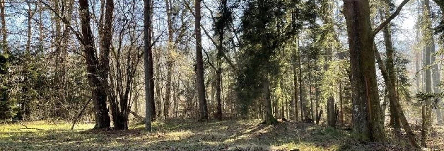 Terrain  14000 m² à vendre à Niederbronn-les-Bains (67110)
