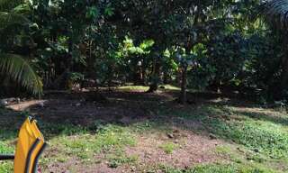 Appartement 2 Pièces 87 m² à louer à Vaucelles (14400)