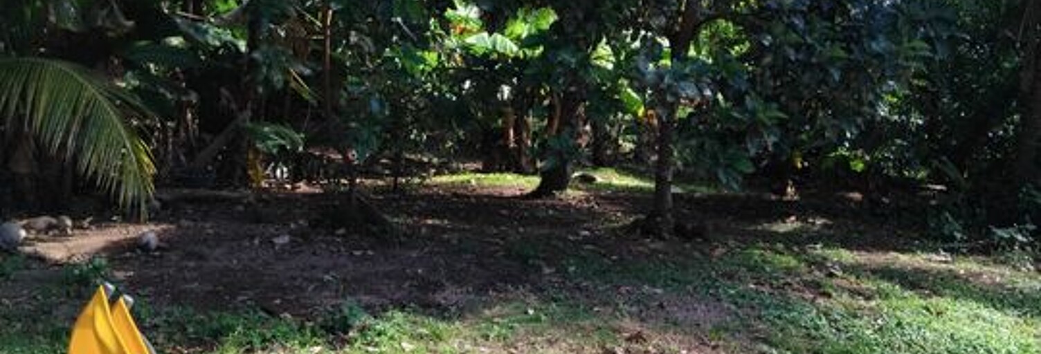 Appartement 2 Pièces 87 m² à louer à Vaucelles (14400)