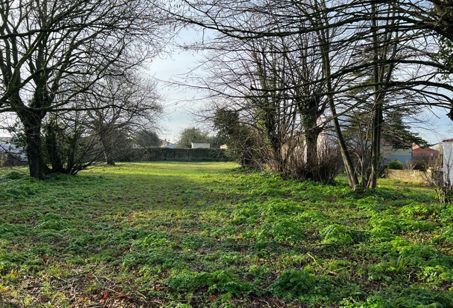 Terrain à bâtir - Saint Pierre D Oleron 1053 m2 — photo 1