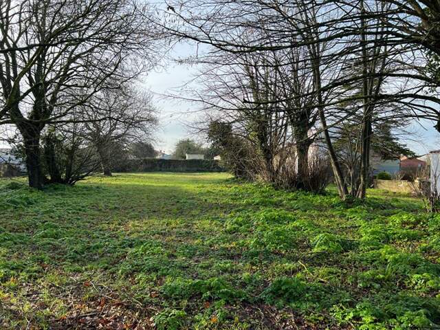 Terrain à bâtir - Saint Pierre D Oleron 1053 m2 — photo du bien