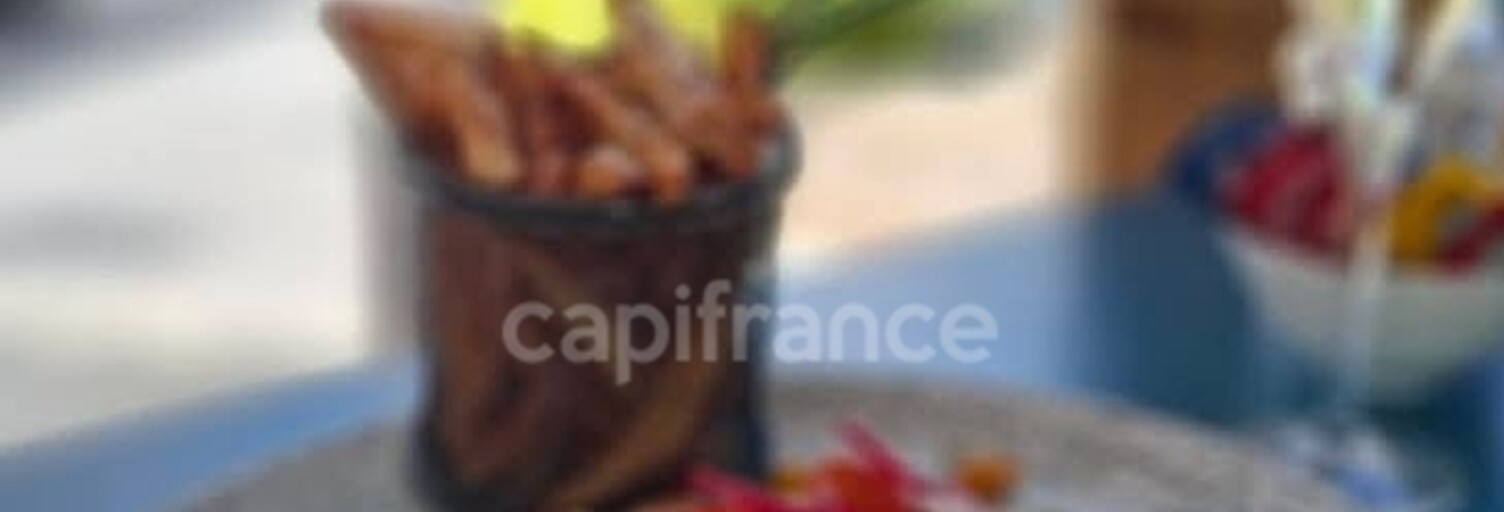 Commerce  130 m² à vendre à Saint-Martin (65360)