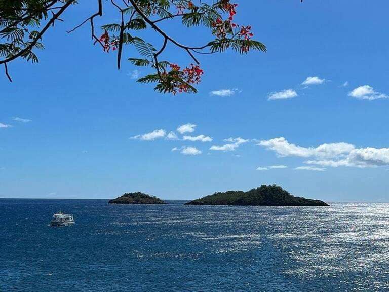 VUE MER VILLA + 3 BUNGALOWS avec piscine 8500 m² de terrain — photo 1