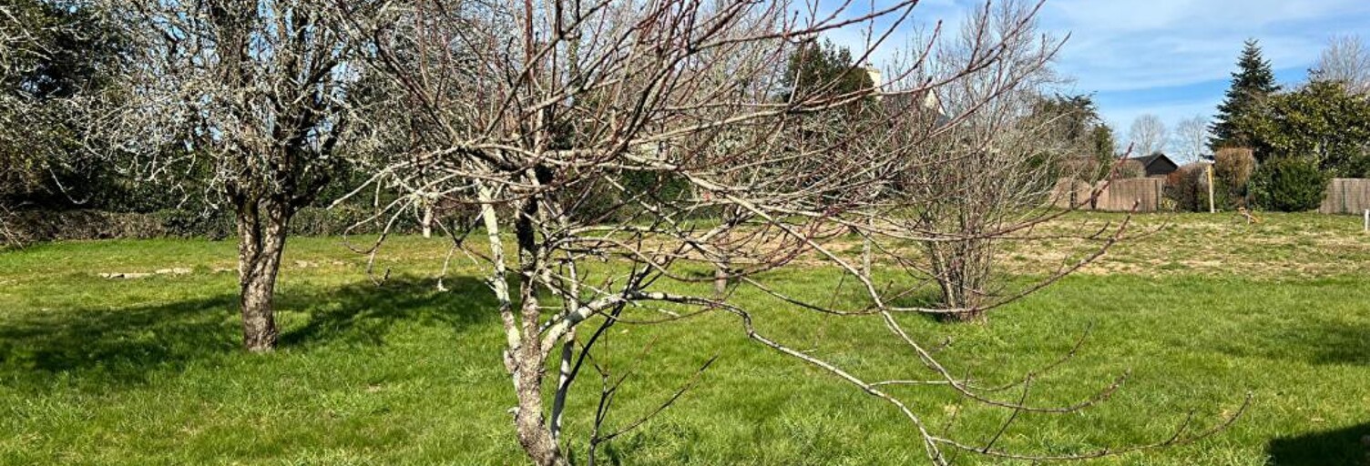 Terrain  946 m² à vendre à Baden (56870)