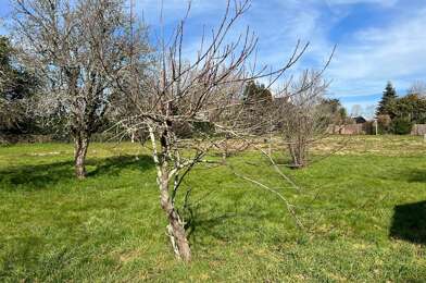 Terrain  499550 €