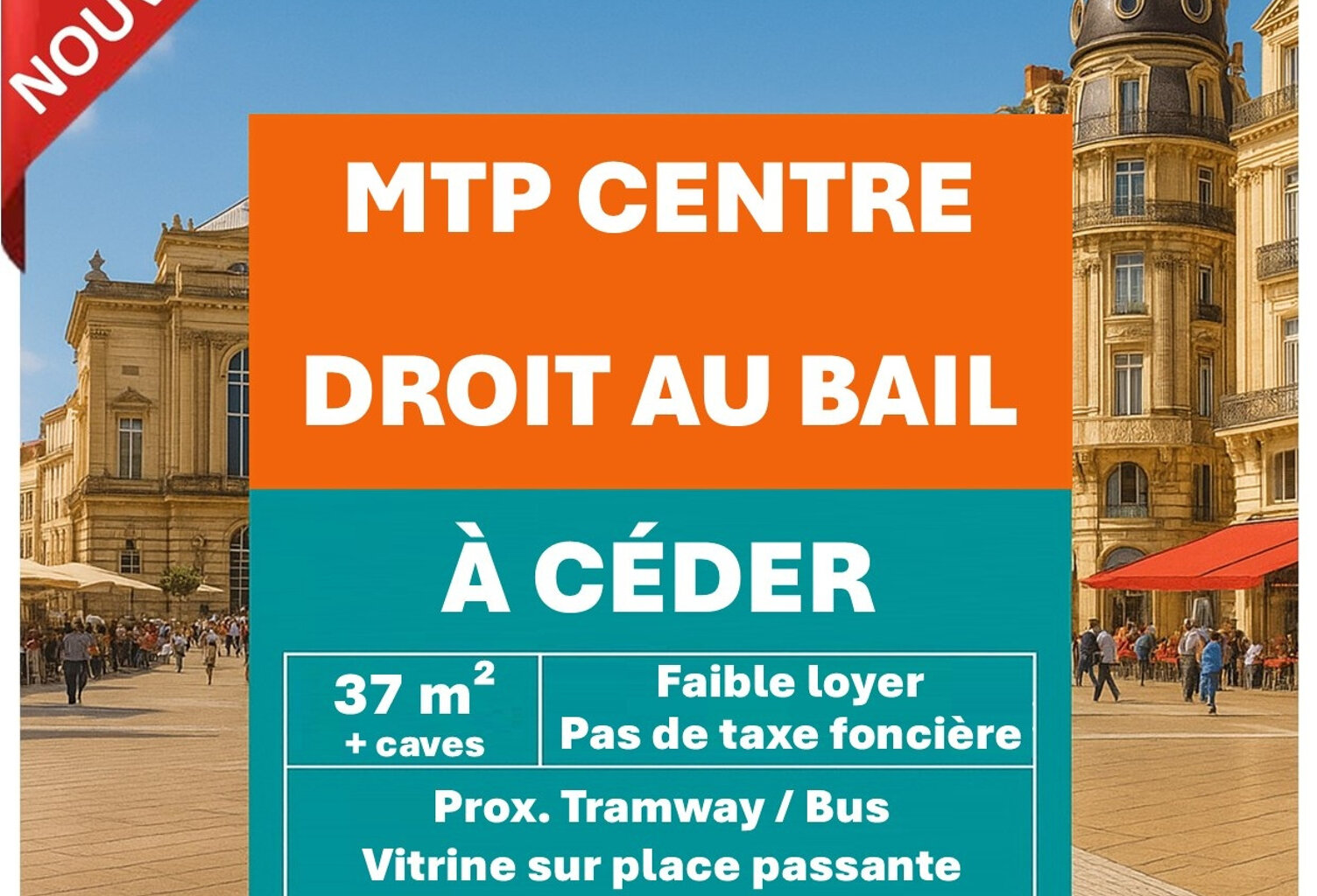 DROIT AU BAIL - PLACE RONDELET — photo 1