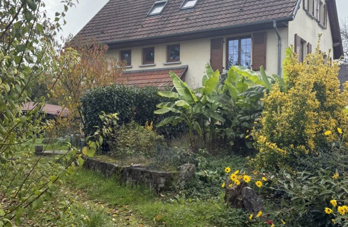 11153 - Prix: 495.000 € - Belle maison, granges, hangar, étable, stockage, volume XXL, excellente situation en impasse, grand potentiel, env. 26 ares — photo 5