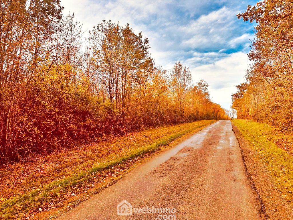 Terrain non constructible - 12718m² - Celle-Lévescault