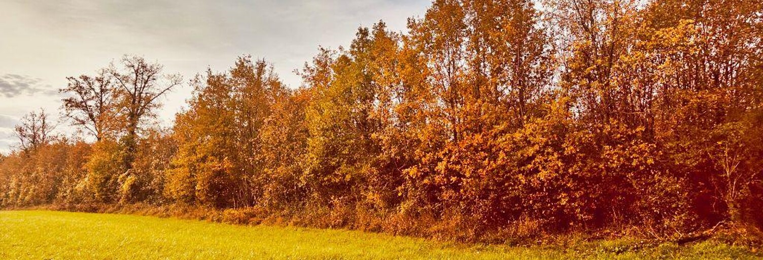 Terrain  12718 m² à vendre à Celle-Lévescault (86600)