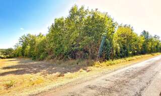 Terrain  12718 m² à vendre à Celle-Lévescault (86600)