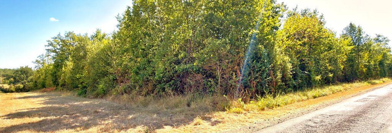 Terrain  12718 m² à vendre à Celle-Lévescault (86600)