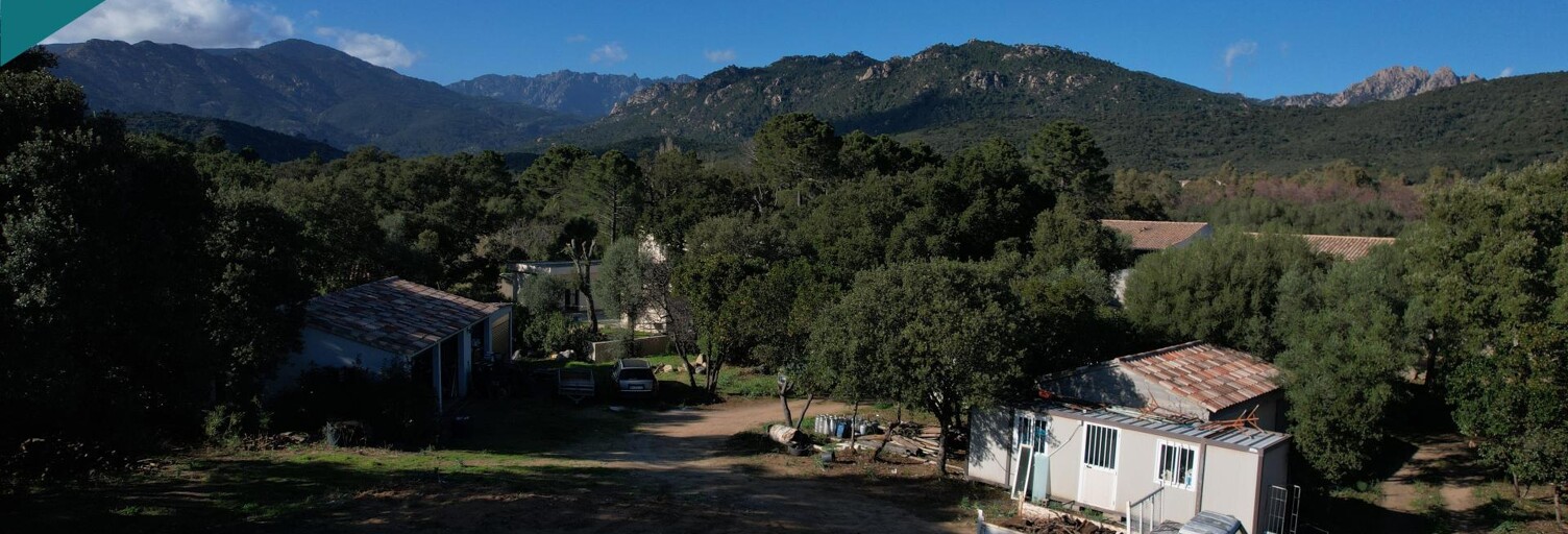 Terrain  1200 m² à vendre à Zonza (20144)