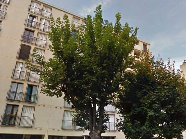 appartement 3 pièces 58m2 — photo du bien