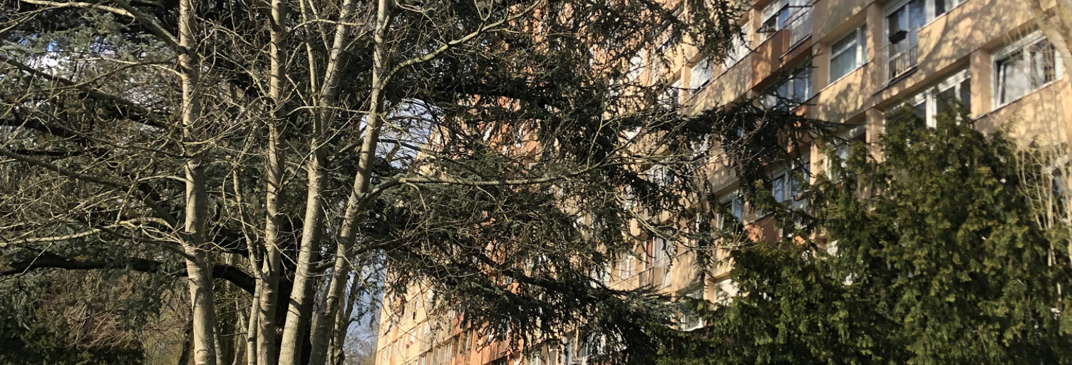 Appartement 4 Pièces 64 m² à vendre à Avon (77210)