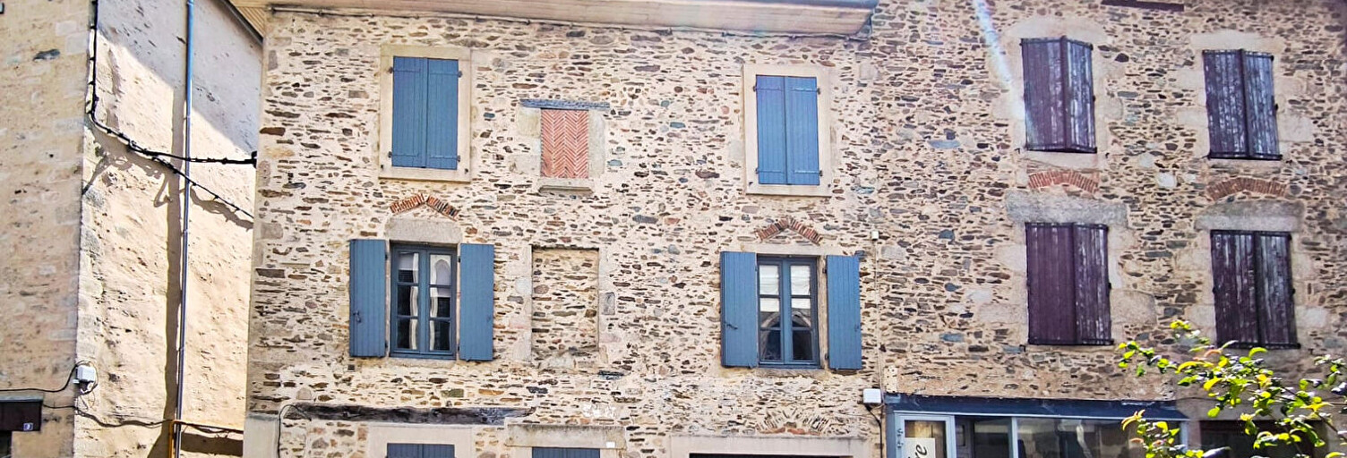 Maison 7 Pièces 235 m² à vendre à Aixe-sur-Vienne (87700)