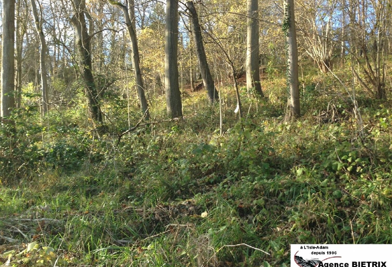 Vente terrain  1979 m² L'Isle-Adam (95290) — photo 1