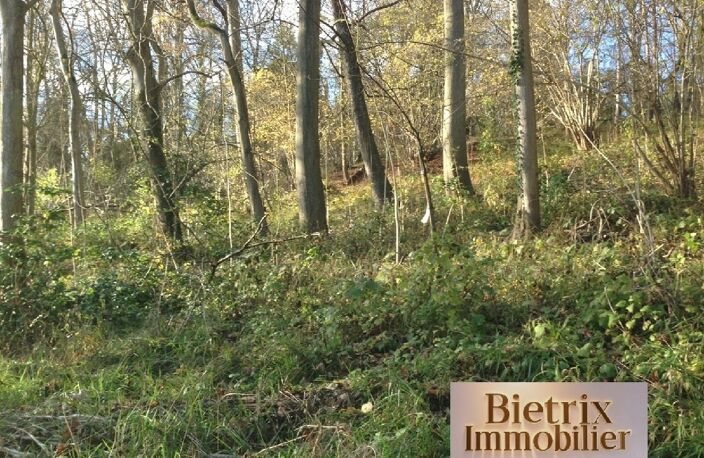 Vente terrain  1979 m² L'Isle-Adam (95290) — photo 3